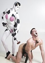 Naughty cow Danni enjoys a guy